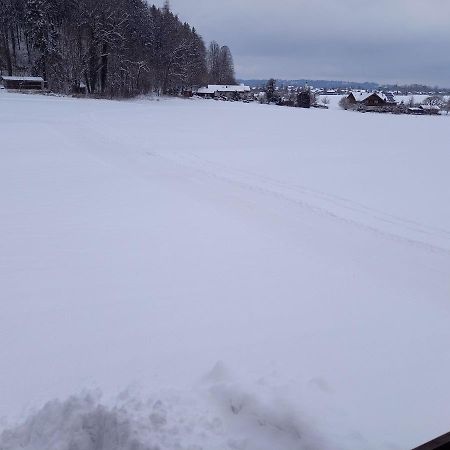 Haus Maier Lägenhet Marquartstein Exteriör bild